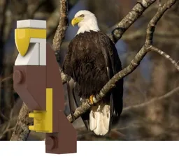 8-piece Bald Eagle