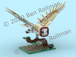 Barn Owl