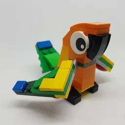 Sun Conure