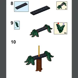 Coniferous Tree