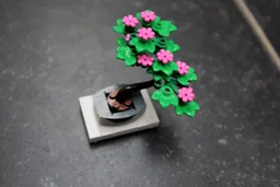 Tiny Bonsai Tree