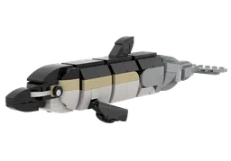 Common Dolphin (Delphinus delphis)
