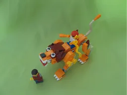 Dutch Lion