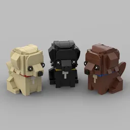 Labrador Retriver Puppies