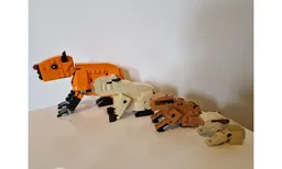 Tropical Animals