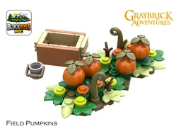 Field Pumpkins