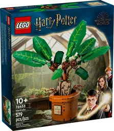 Mandrake