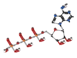 MOC-50082