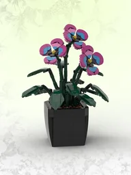 Garden Pansies (BT006)