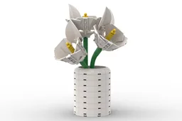 Calla Lily