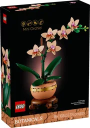 Mini Orchid