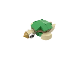 01 Turtle