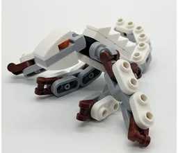 Lizard