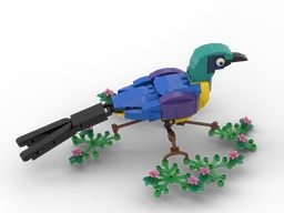 Golden Breasted Starling