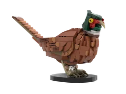 Pheasant