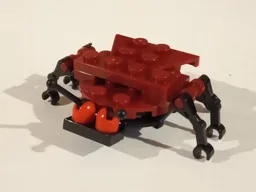 11943 Bug