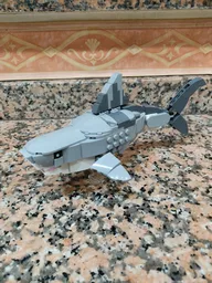 31163: Shark