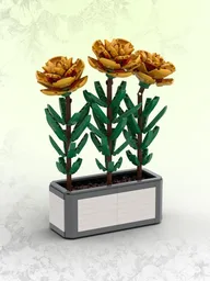 Marigolds (BT012)