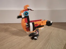 31129 Hoatzin