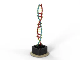 DNA double helix with a turnable base