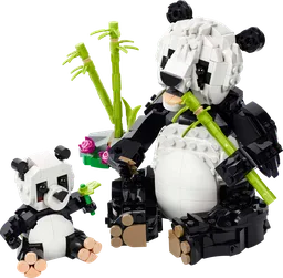 Wild Animals: Panda Family