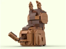 Cat brown