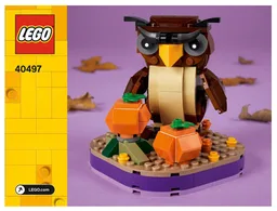 Halloween Owl