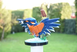 10331 - Kingfisher Head Remodel