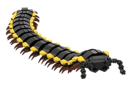 Yellow-Spotted Millipede (Harpaphe haydeniana)