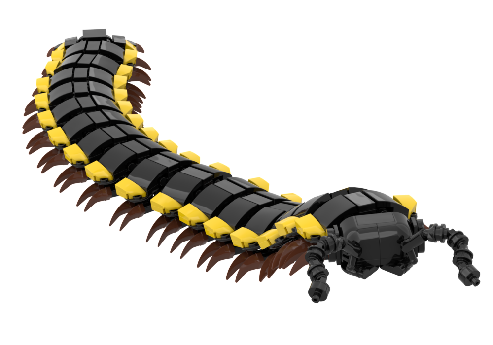 Lego Yellow-Spotted Millipede (Harpaphe haydeniana)