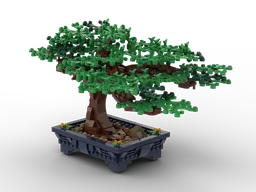 Bonsai Tree