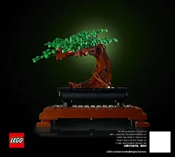 Bonsai Tree