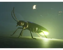(G) - The Firefly