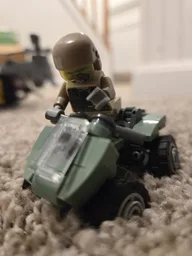 Halo Mongoose