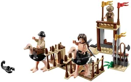 The Ostrich Race