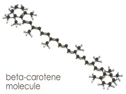 Beta Carotene