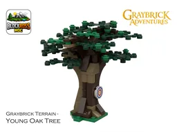Young Oak Tree
