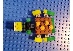 Turtle Despacito