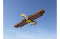 Flying Bald Eagle