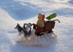 Dog Sleigh In Snow