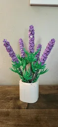 Lavender (BT021)