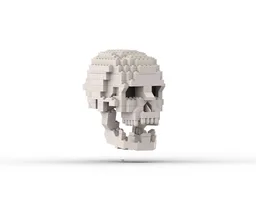 Human Skull with brain