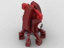 Squid