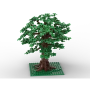 Large Fall Tree