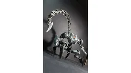 NERVELASH - Biotarget Acquisition Frame