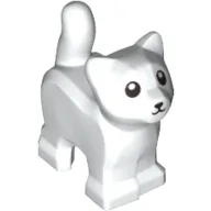 Animal, Cat, Kitten, Short Tail, Black Eyes and Nose Print / White
