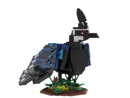 Palawan peacock pheasant revised
