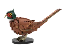 Pheasant