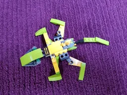 Lizard