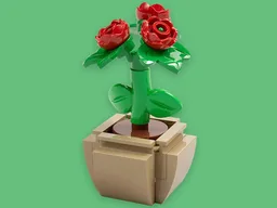 Potted Roses